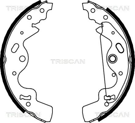 TRISCAN Комплект тормозных колодок 8100 17010