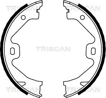 TRISCAN Комплект тормозных колодок, стояночная тормозная с 8100 17011