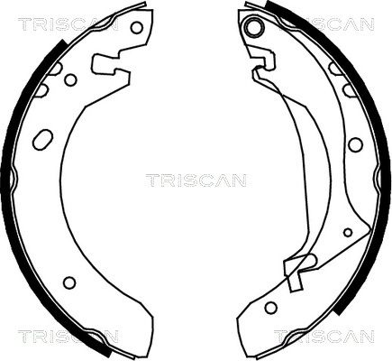TRISCAN Комплект тормозных колодок 8100 17634