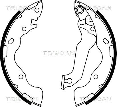 TRISCAN Комплект тормозных колодок 8100 18009