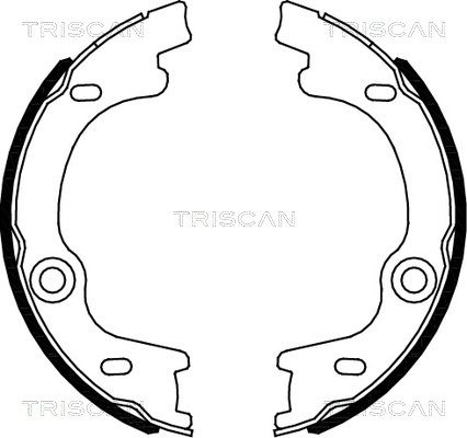 TRISCAN Комплект тормозных колодок, стояночная тормозная с 8100 18010
