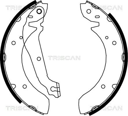 TRISCAN Комплект тормозных колодок 8100 18013