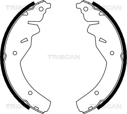 TRISCAN Комплект тормозных колодок 8100 18595