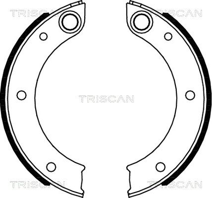 TRISCAN Комплект тормозных колодок, стояночная тормозная с 8100 20003