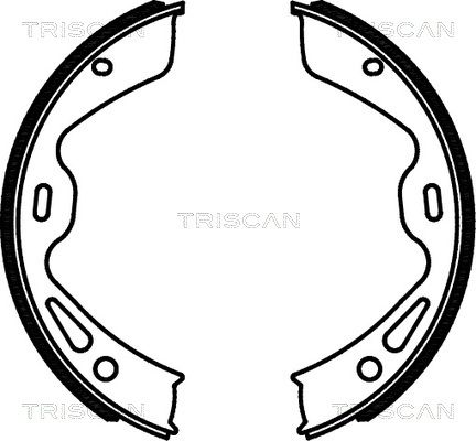 TRISCAN Комплект тормозных колодок, стояночная тормозная с 8100 20004