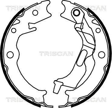TRISCAN Комплект тормозных колодок, стояночная тормозная с 8100 21001