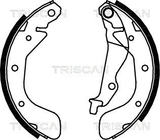 TRISCAN Комплект тормозных колодок 8100 21611