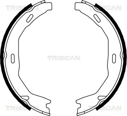 TRISCAN Комплект тормозных колодок, стояночная тормозная с 8100 23029