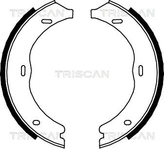 TRISCAN Комплект тормозных колодок, стояночная тормозная с 8100 23030