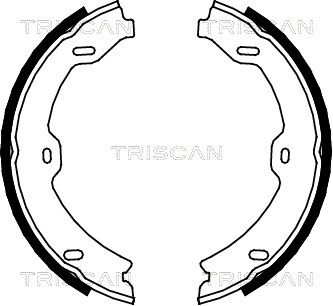 TRISCAN Комплект тормозных колодок, стояночная тормозная с 8100 23031