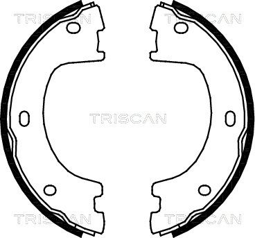TRISCAN Комплект тормозных колодок, стояночная тормозная с 8100 23032