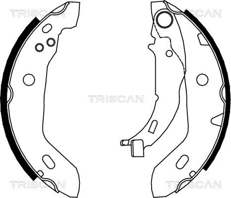 TRISCAN Комплект тормозных колодок 8100 23122