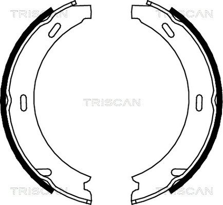 TRISCAN Комплект тормозных колодок, стояночная тормозная с 8100 23412
