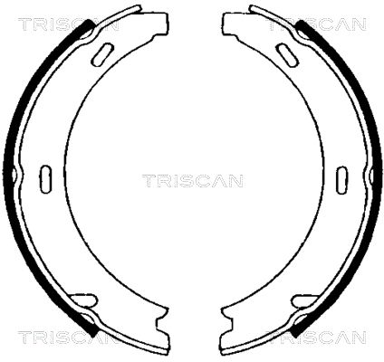 TRISCAN Комплект тормозных колодок, стояночная тормозная с 8100 23552