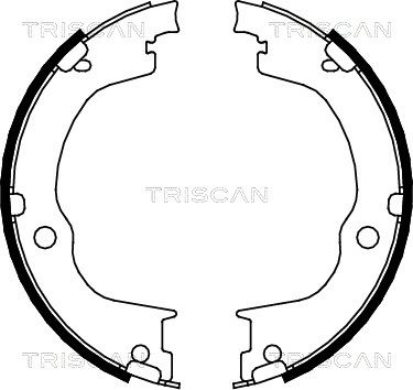 TRISCAN Комплект тормозных колодок, стояночная тормозная с 8100 24003