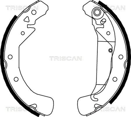 TRISCAN Комплект тормозных колодок, стояночная тормозная с 8100 24589