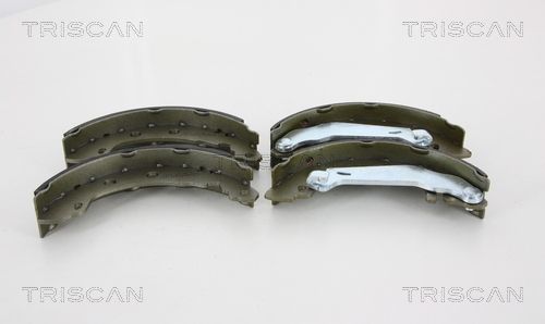 TRISCAN Комплект тормозных колодок 8100 25003