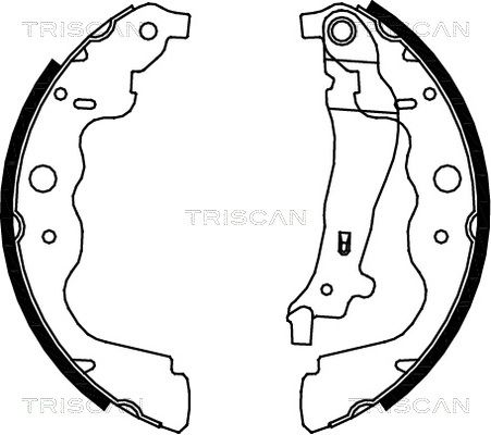 TRISCAN Комплект тормозных колодок, стояночная тормозная с 8100 25004