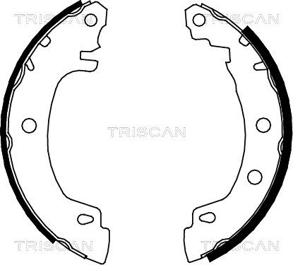 TRISCAN Bremžu loku komplekts 8100 25581