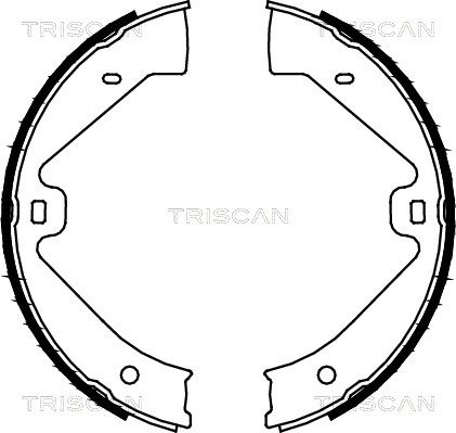 TRISCAN Комплект тормозных колодок, стояночная тормозная с 8100 29002