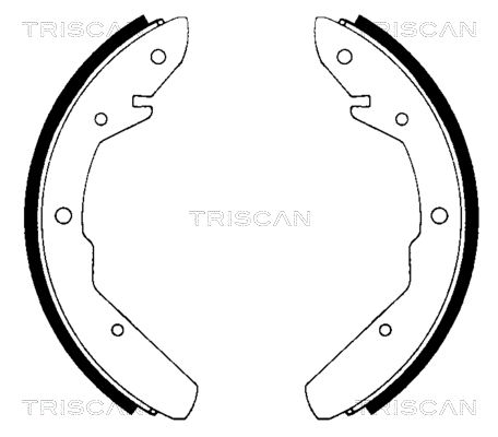 TRISCAN Комплект тормозных колодок 8100 29275