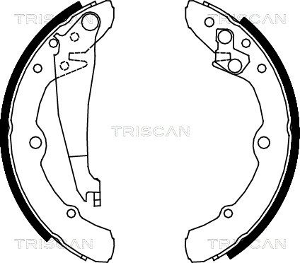 TRISCAN Комплект тормозных колодок 8100 29343