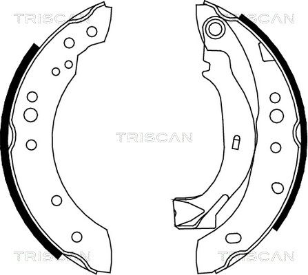 TRISCAN Комплект тормозных колодок 8100 38001