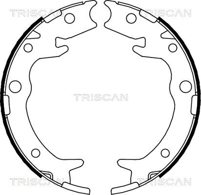 TRISCAN Комплект тормозных колодок, стояночная тормозная с 8100 40005