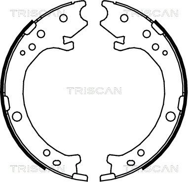 TRISCAN Комплект тормозных колодок, стояночная тормозная с 8100 40007