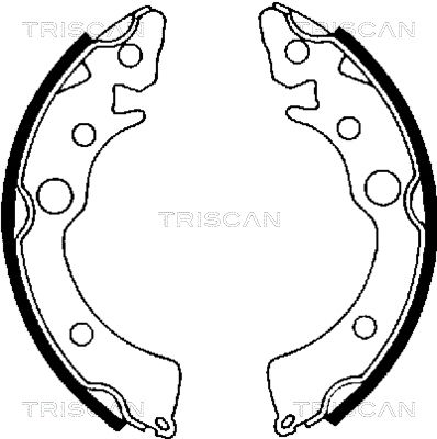 TRISCAN Bremžu loku komplekts 8100 40418