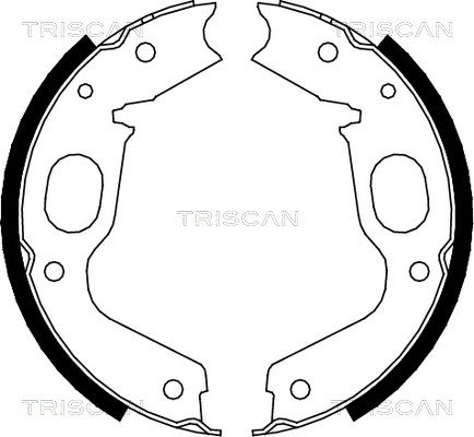TRISCAN Комплект тормозных колодок, стояночная тормозная с 8100 42015