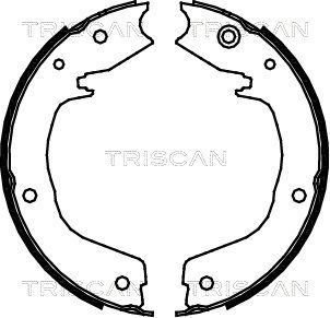 TRISCAN Комплект тормозных колодок, стояночная тормозная с 8100 42019