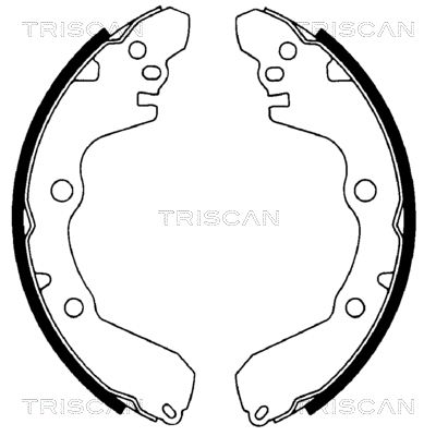 TRISCAN Комплект тормозных колодок 8100 42566