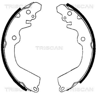 TRISCAN Комплект тормозных колодок 8100 42568