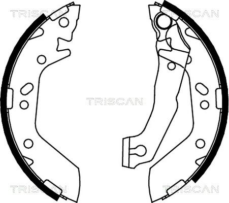 TRISCAN Комплект тормозных колодок 8100 43012
