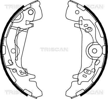 TRISCAN Комплект тормозных колодок 8100 43017