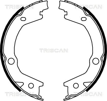 TRISCAN Комплект тормозных колодок, стояночная тормозная с 8100 43020