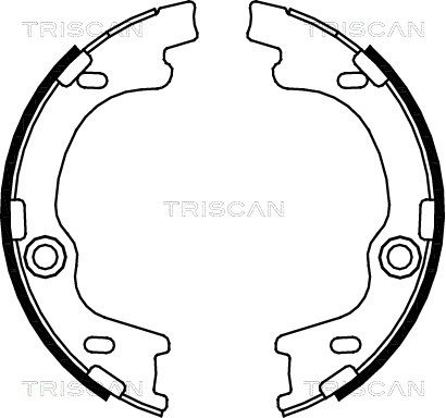 TRISCAN Комплект тормозных колодок, стояночная тормозная с 8100 43021