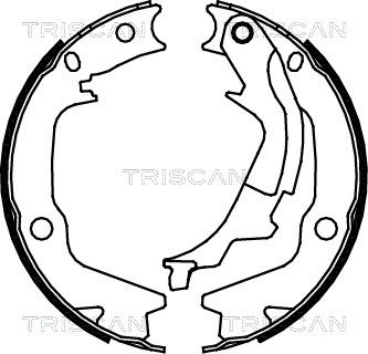 TRISCAN Комплект тормозных колодок, стояночная тормозная с 8100 43022