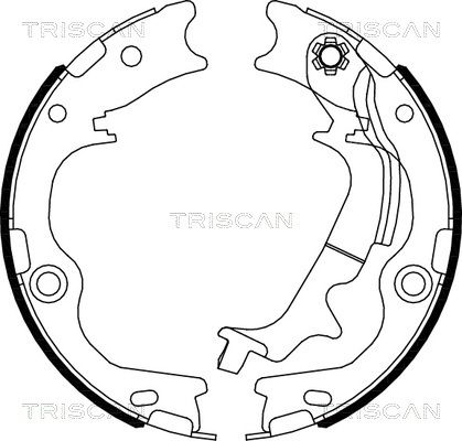TRISCAN Комплект тормозных колодок, стояночная тормозная с 8100 43029