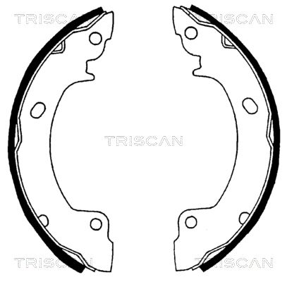 TRISCAN Комплект тормозных колодок 8100 43529