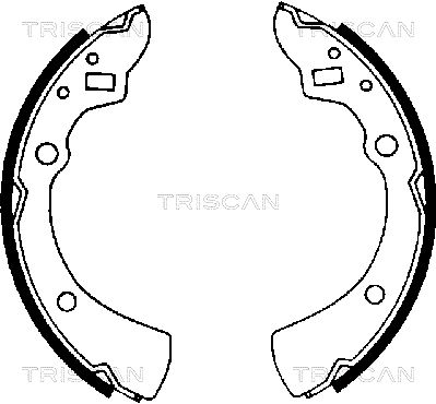 TRISCAN Комплект тормозных колодок 8100 50359
