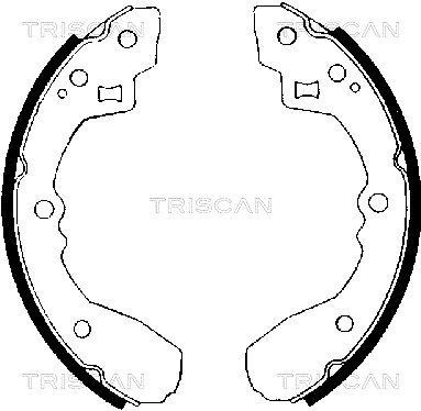 TRISCAN Комплект тормозных колодок 8100 50406