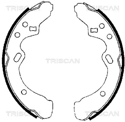 TRISCAN Комплект тормозных колодок 8100 50438