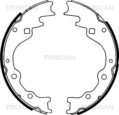 TRISCAN Комплект тормозных колодок 8100 50461