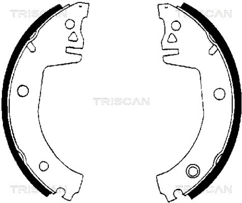 TRISCAN Комплект тормозных колодок 8100 67514