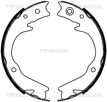 TRISCAN Комплект тормозных колодок, стояночная тормозная с 8100 68003