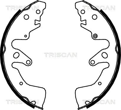 TRISCAN Комплект тормозных колодок 8100 69004