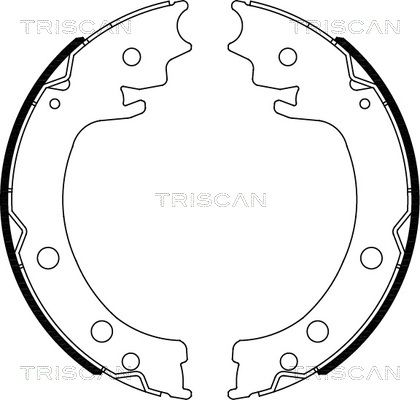 TRISCAN Комплект тормозных колодок, стояночная тормозная с 8100 69006