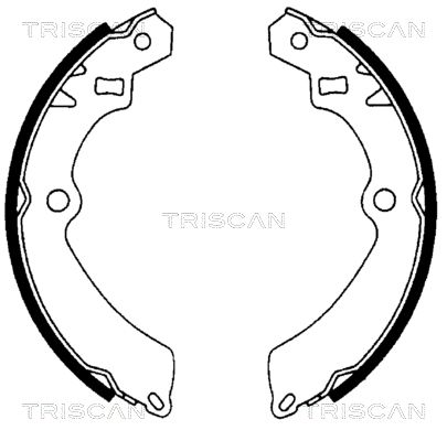 TRISCAN Комплект тормозных колодок 8100 69511